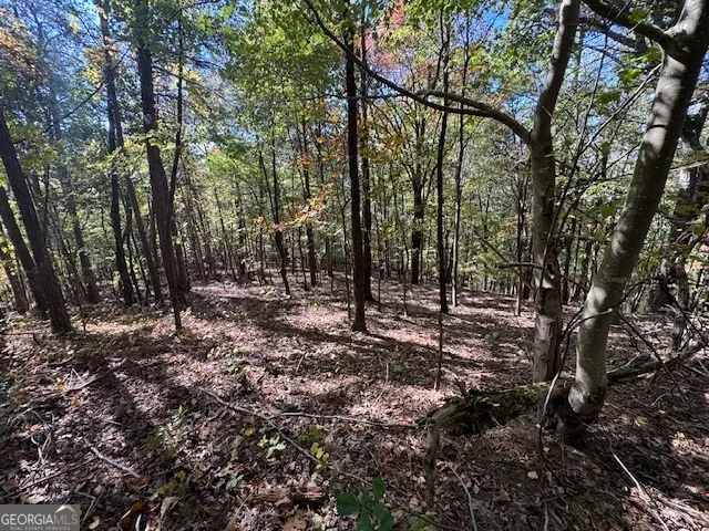 902 Pinyan RD Ranger, GA 30734