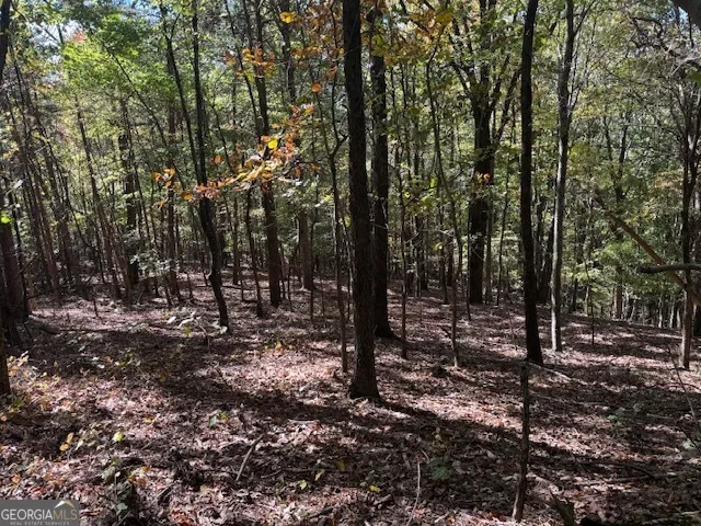 902 Pinyan RD Ranger, GA 30734