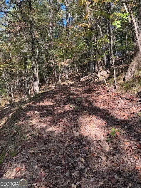 902 Pinyan RD Ranger, GA 30734