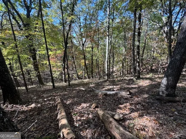 902 Pinyan RD Ranger, GA 30734
