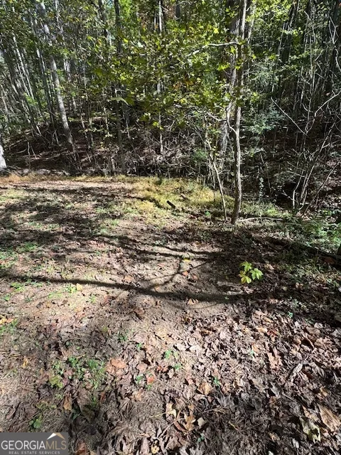 902 Pinyan RD Ranger, GA 30734