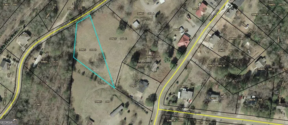 286 Lowry ST Ball Ground, GA 30107