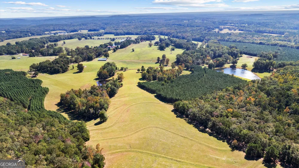 5225 Chalybeate Springs RD Woodland, GA 31836