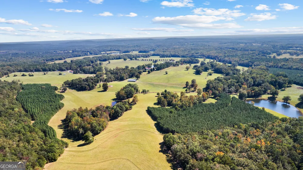 5225 Chalybeate Springs RD Woodland, GA 31836