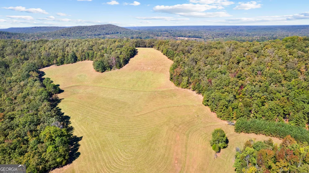 5225 Chalybeate Springs RD Woodland, GA 31836