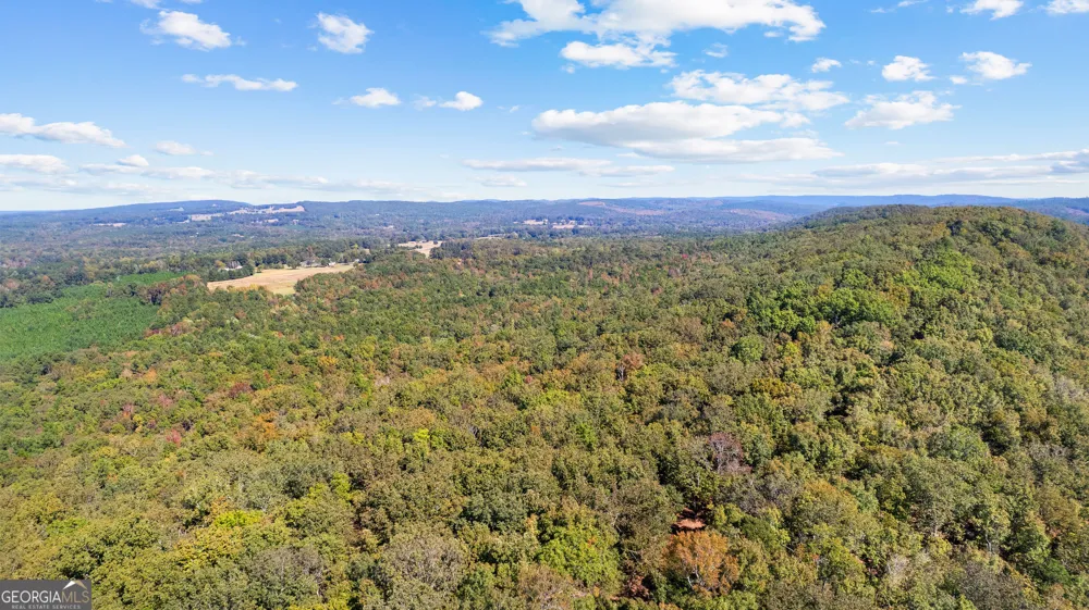 5225 Chalybeate Springs RD Woodland, GA 31836