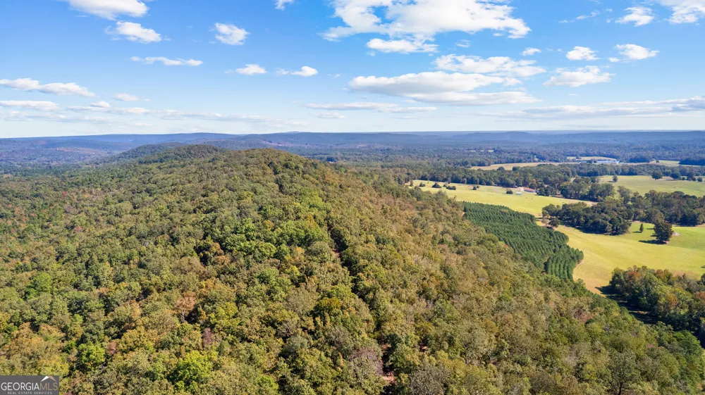 5225 Chalybeate Springs RD Woodland, GA 31836