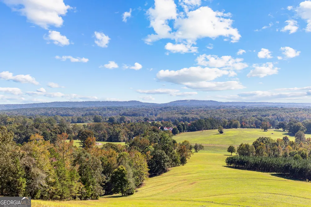 5225 Chalybeate Springs RD Woodland, GA 31836