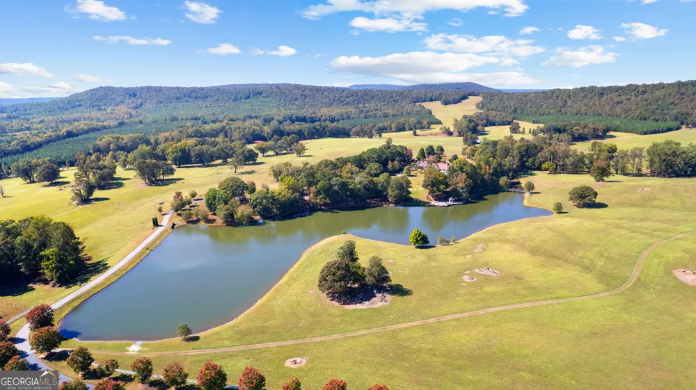5225 Chalybeate Springs RD Woodland, GA 31836