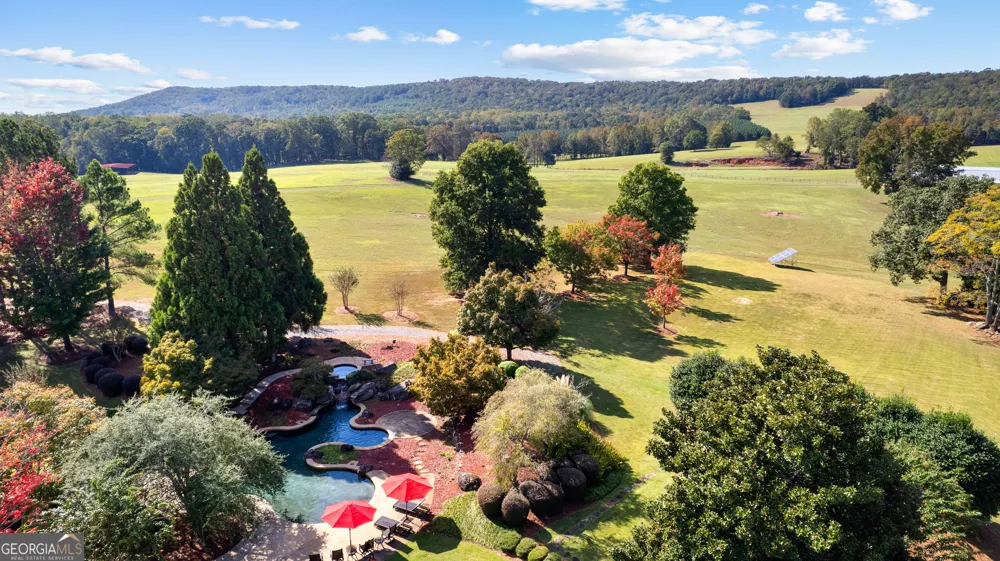 5225 Chalybeate Springs RD Woodland, GA 31836