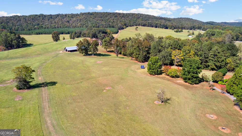 5225 Chalybeate Springs RD Woodland, GA 31836