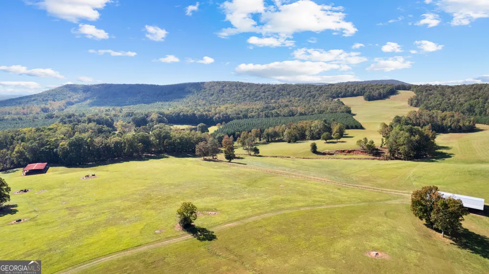 5225 Chalybeate Springs RD Woodland, GA 31836