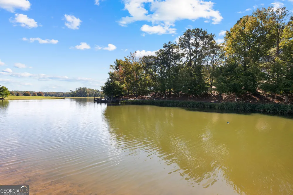5225 Chalybeate Springs RD Woodland, GA 31836