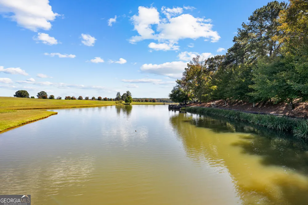 5225 Chalybeate Springs RD Woodland, GA 31836