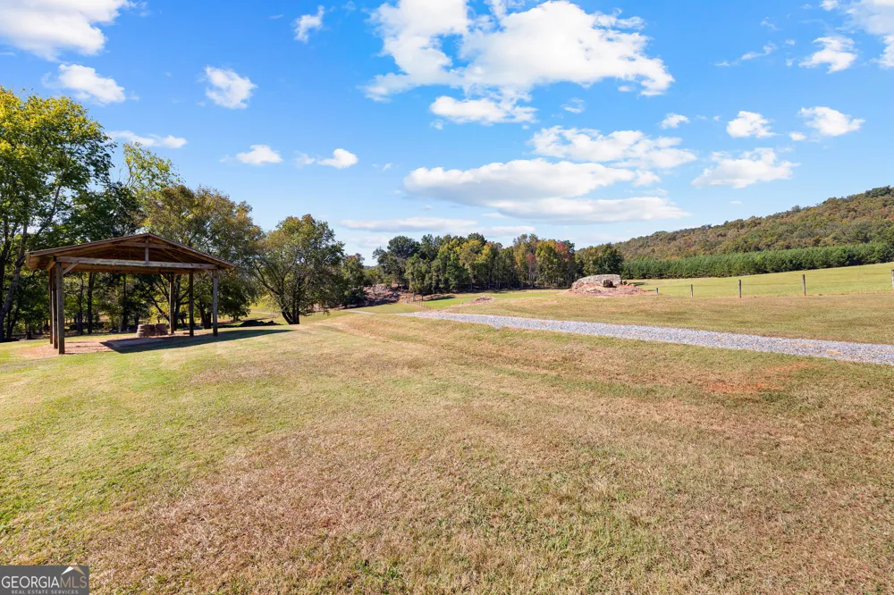 5225 Chalybeate Springs RD Woodland, GA 31836