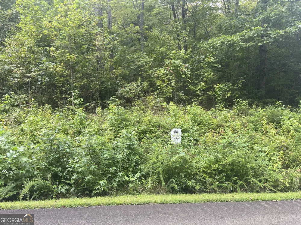 LOT 17 Staurolite Mountain DR Blue Ridge, GA 30513