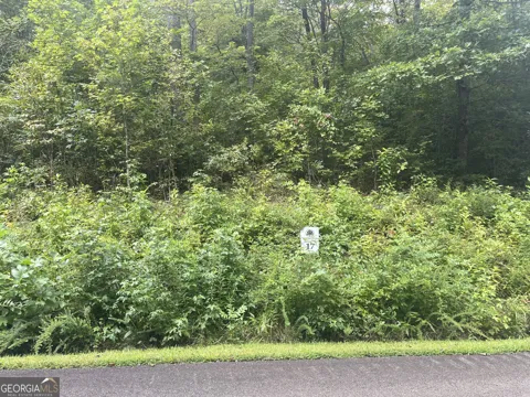 LOT 17 Staurolite Mountain DR