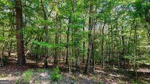 925 Arrow TRL Waleska, GA 30183