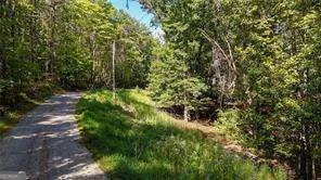 925 Arrow TRL Waleska, GA 30183
