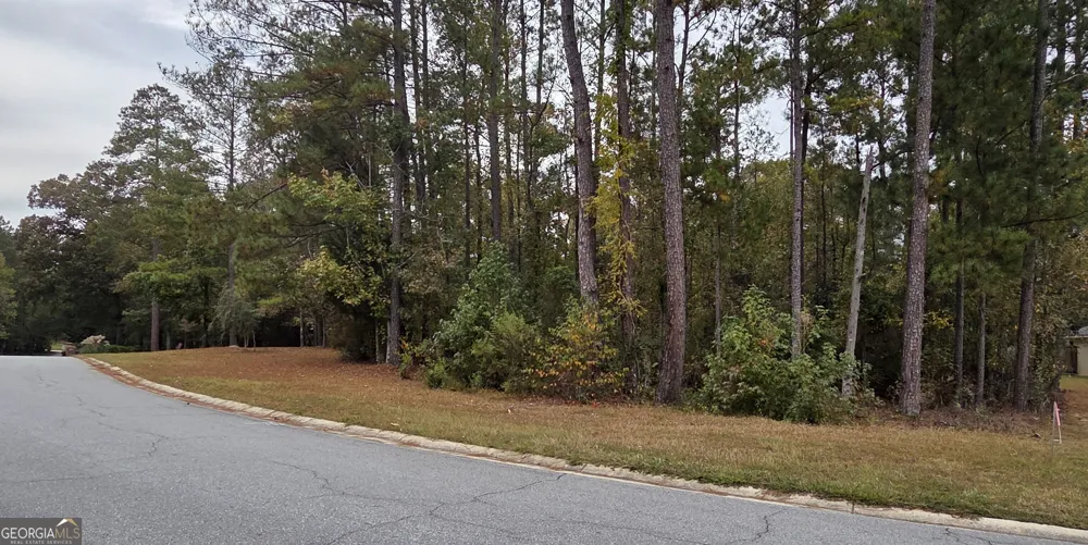 215 Falcon CRST Warner Robins, GA 31088