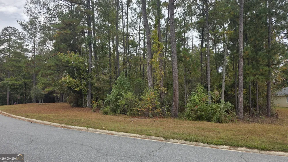 215 Falcon CRST Warner Robins, GA 31088