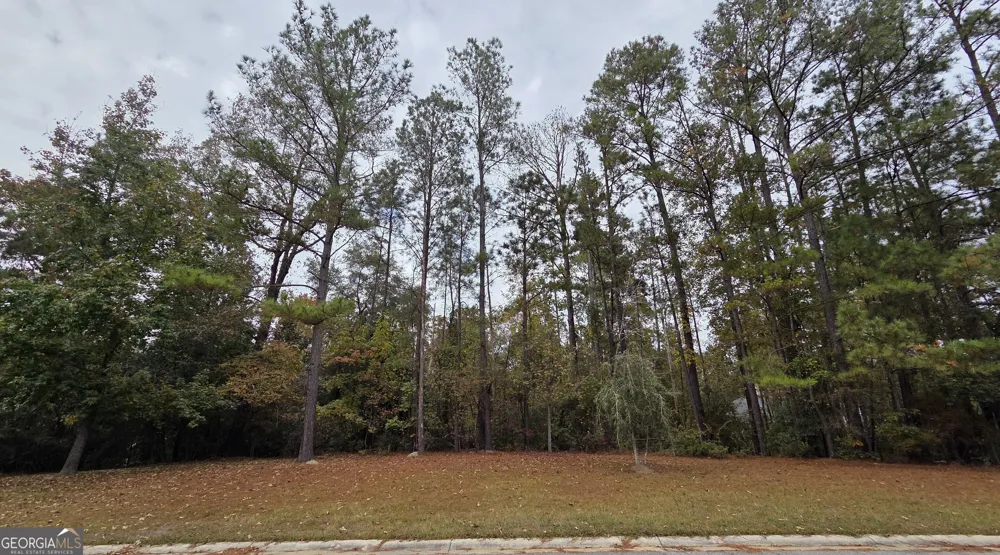 215 Falcon CRST Warner Robins, GA 31088