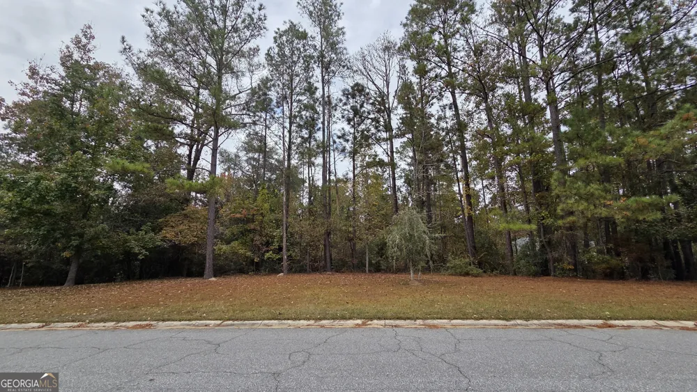 215 Falcon CRST Warner Robins, GA 31088