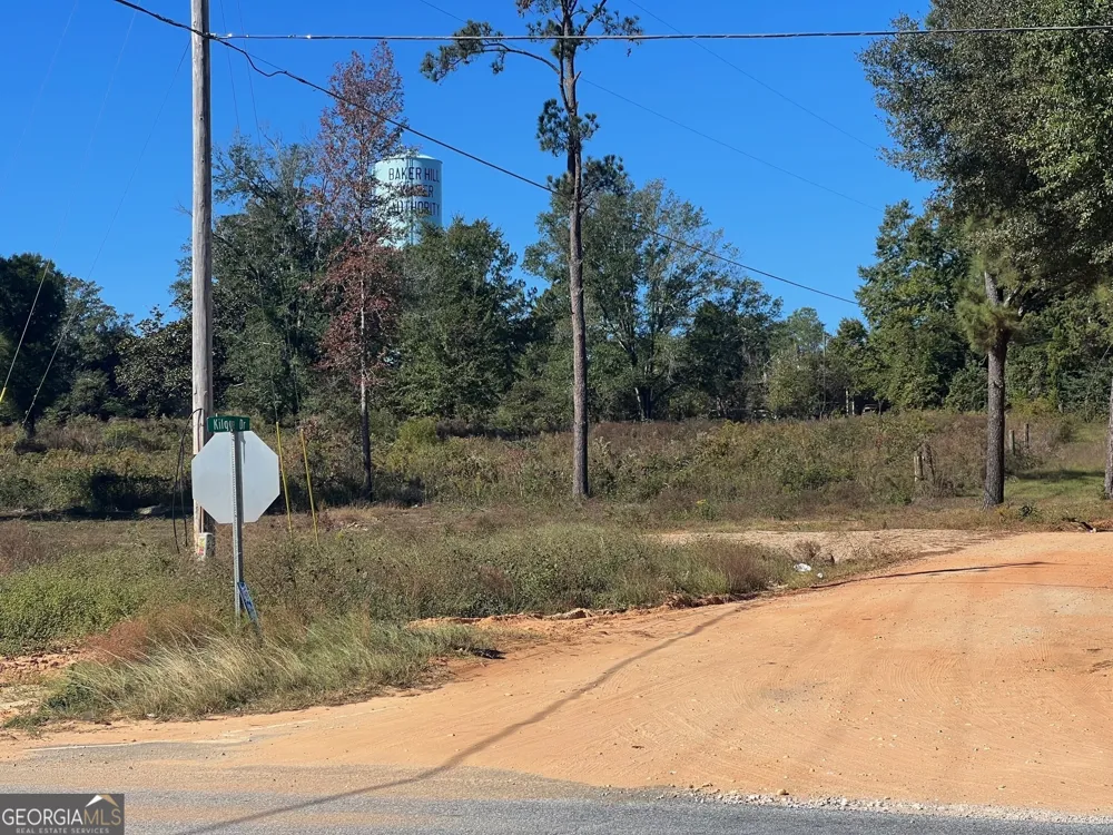 0 S Hwy 431 Eufaula, AL 36027