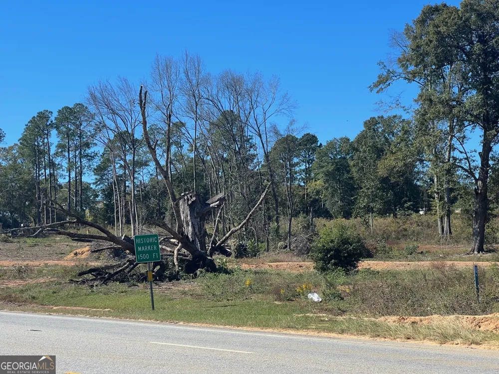 0 S Hwy 431 Eufaula, AL 36027