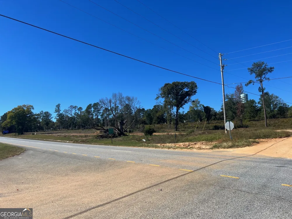 0 S Hwy 431 Eufaula, AL 36027