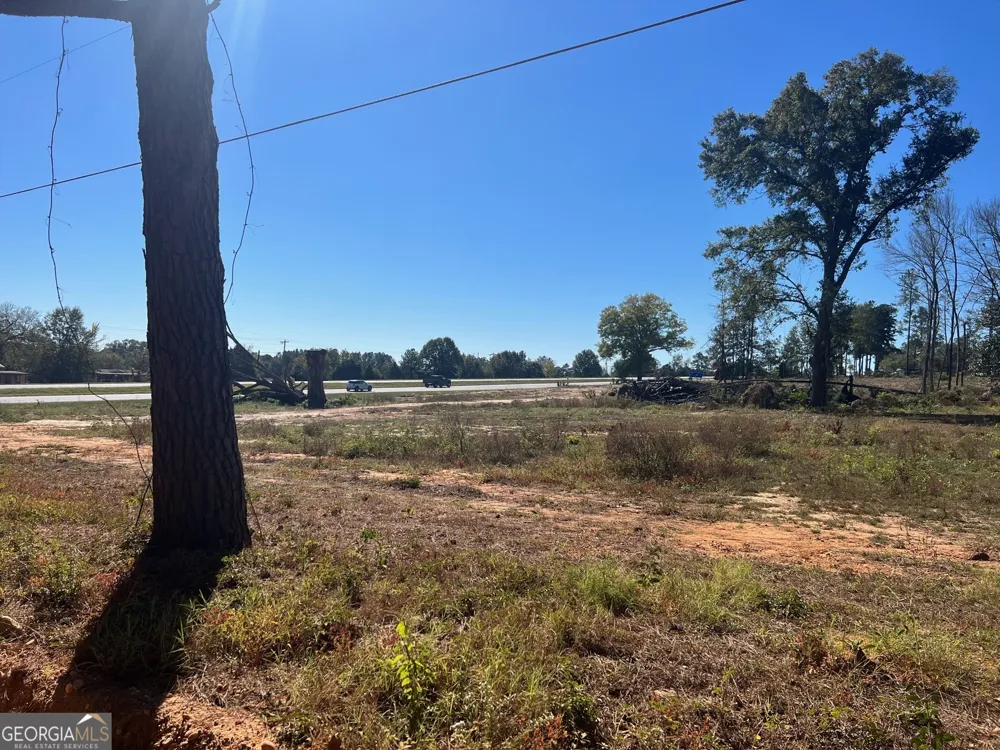 0 S Hwy 431 Eufaula, AL 36027
