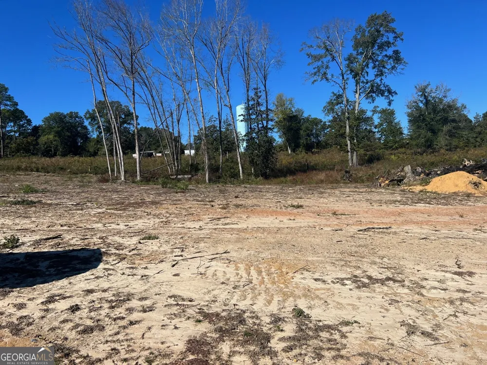 0 S Hwy 431 Eufaula, AL 36027