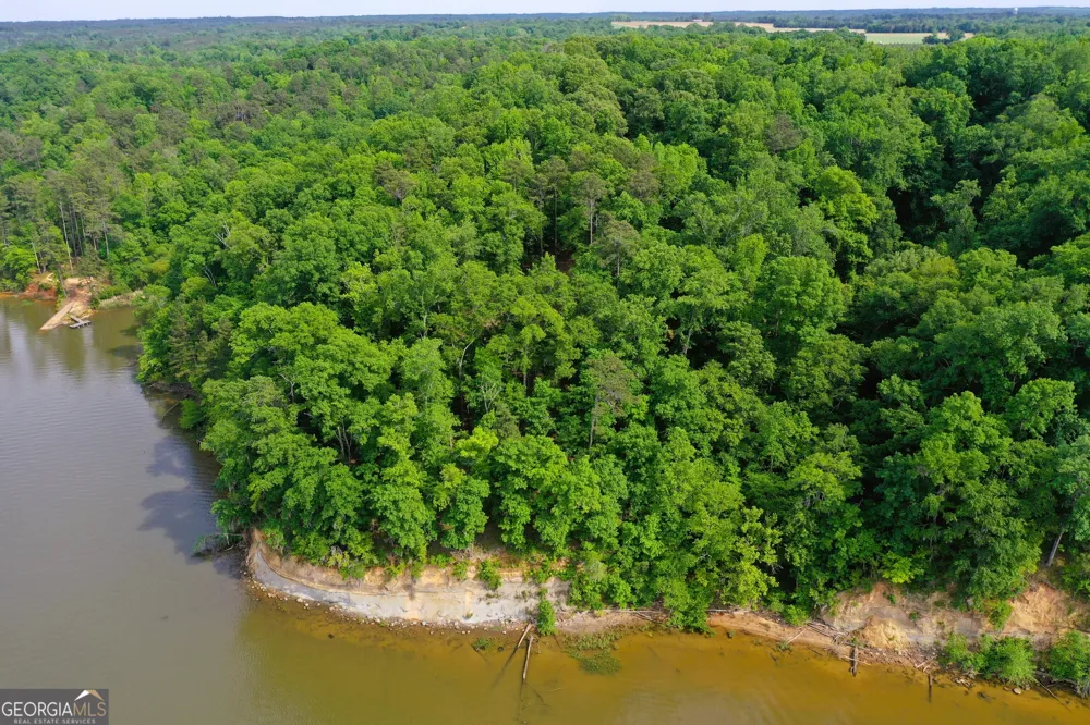 0 Watson Spur RD Georgetown, GA 39854