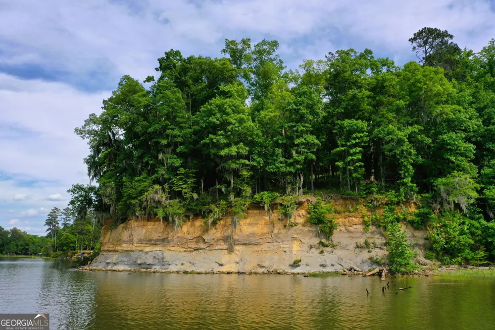 0 Watson Spur RD Georgetown, GA 39854