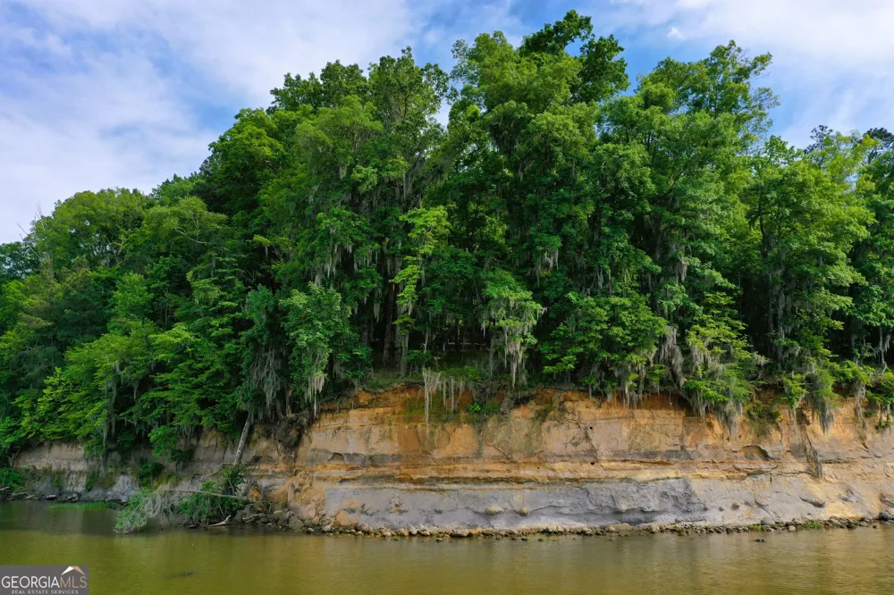 0 Watson Spur RD Georgetown, GA 39854