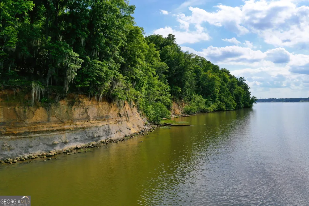 0 Watson Spur RD Georgetown, GA 39854