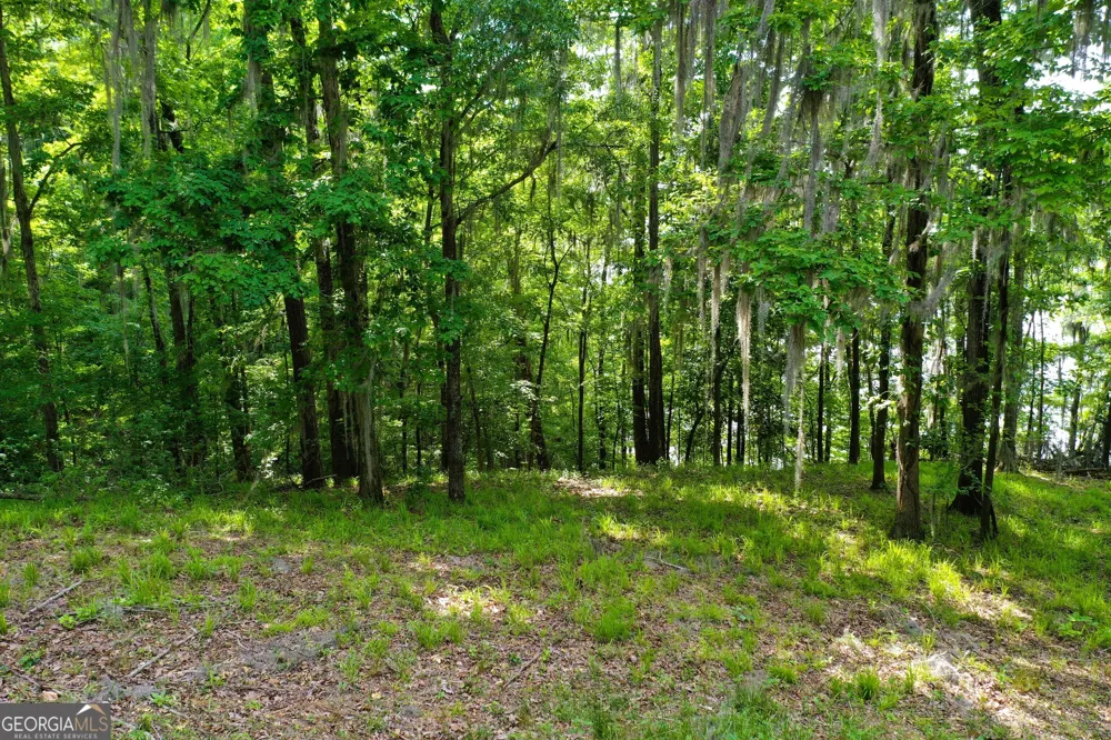 0 Watson Spur RD Georgetown, GA 39854