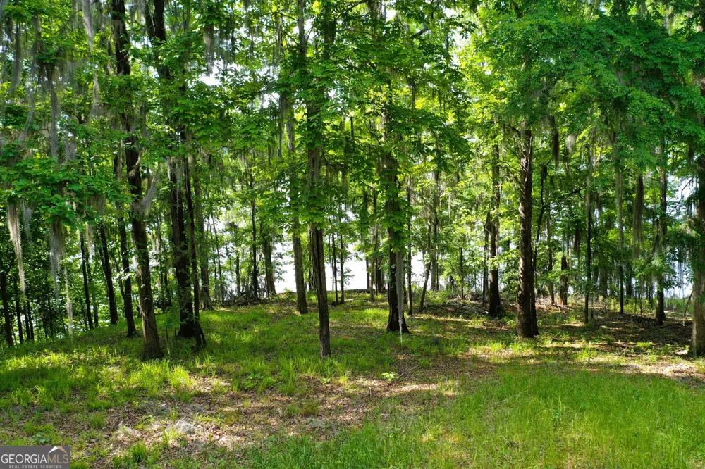 0 Watson Spur RD Georgetown, GA 39854