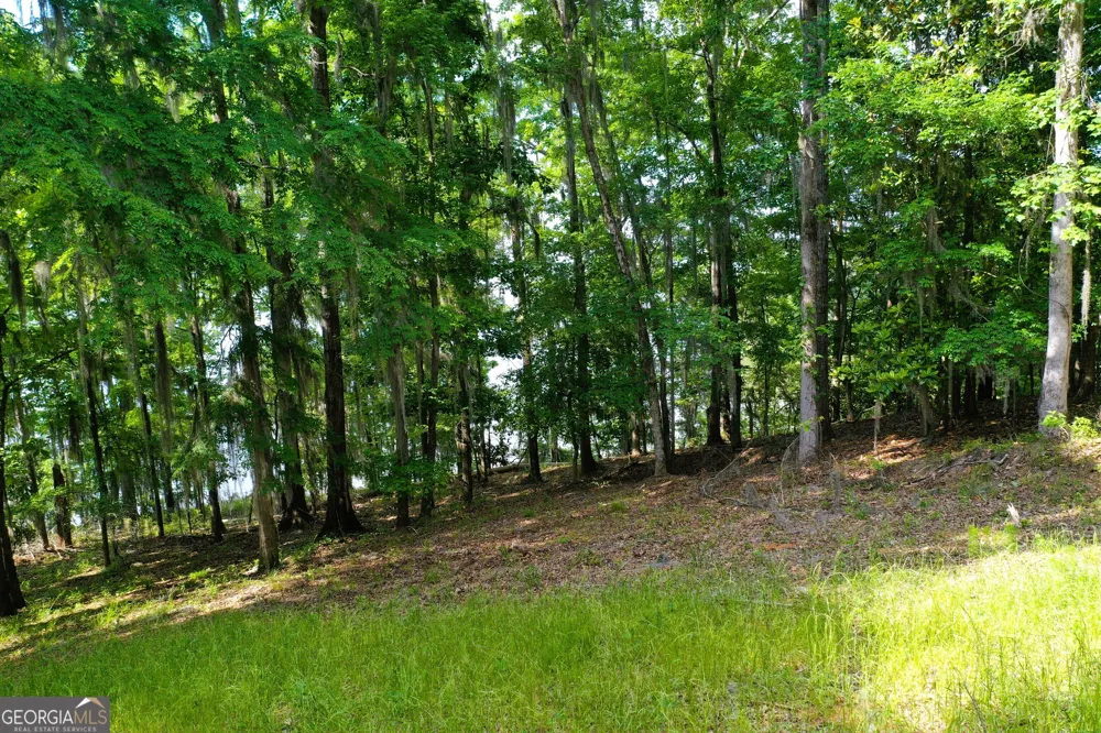 0 Watson Spur RD Georgetown, GA 39854