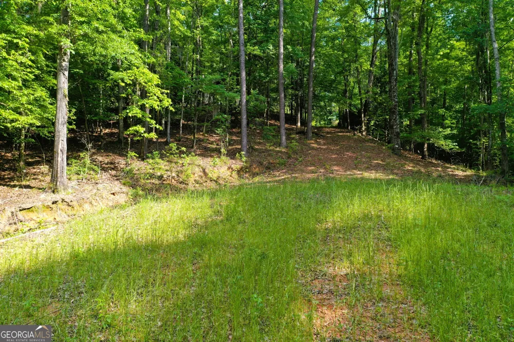 0 Watson Spur RD Georgetown, GA 39854