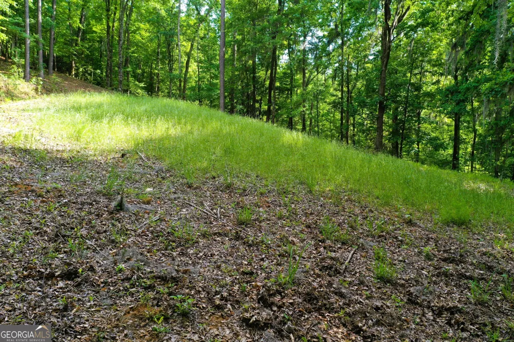 0 Watson Spur RD Georgetown, GA 39854