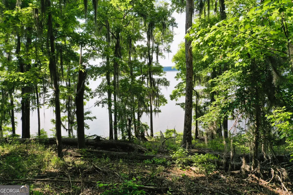 0 Watson Spur RD Georgetown, GA 39854