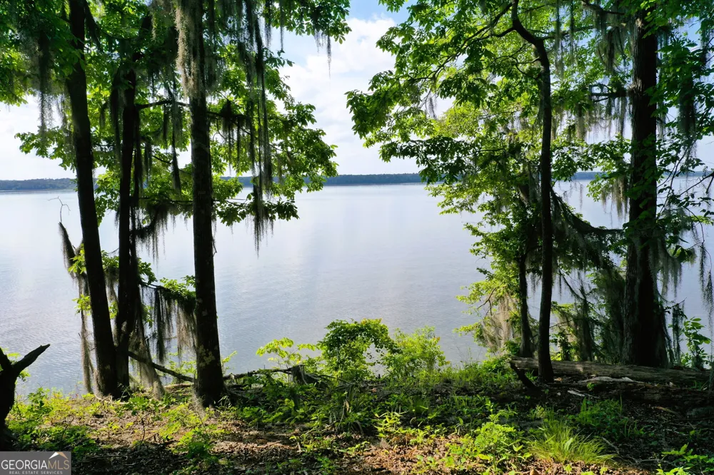 0 Watson Spur RD Georgetown, GA 39854