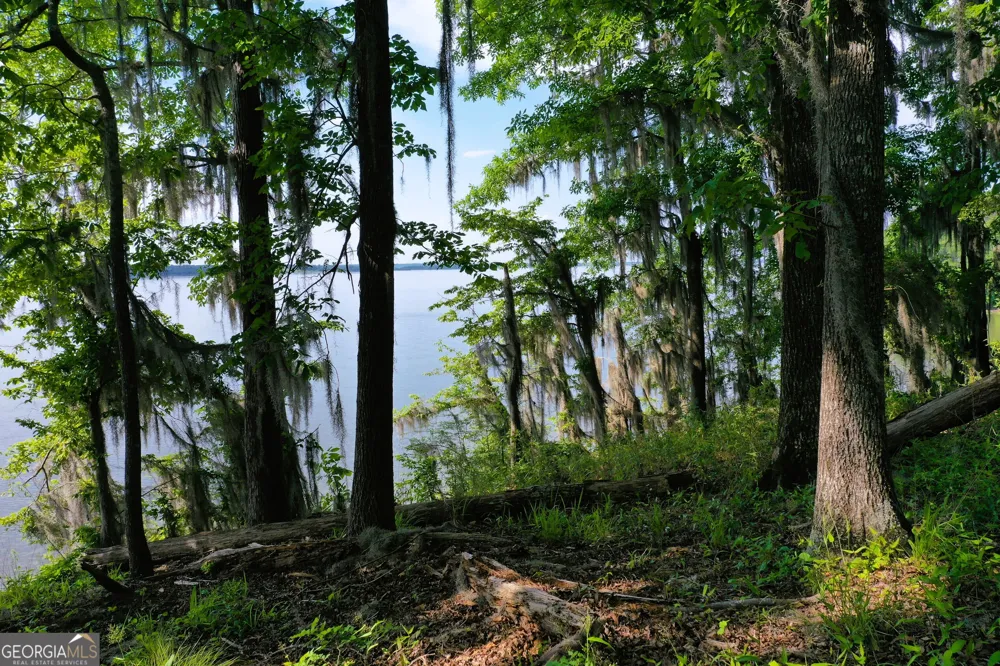 0 Watson Spur RD Georgetown, GA 39854