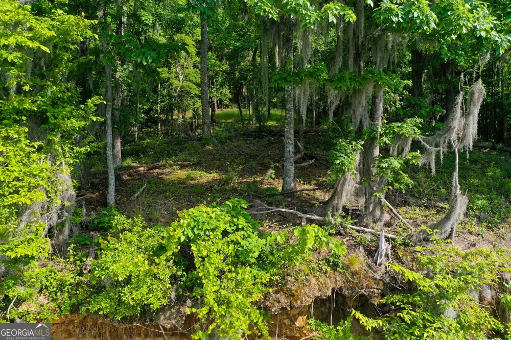 0 Watson Spur RD Georgetown, GA 39854