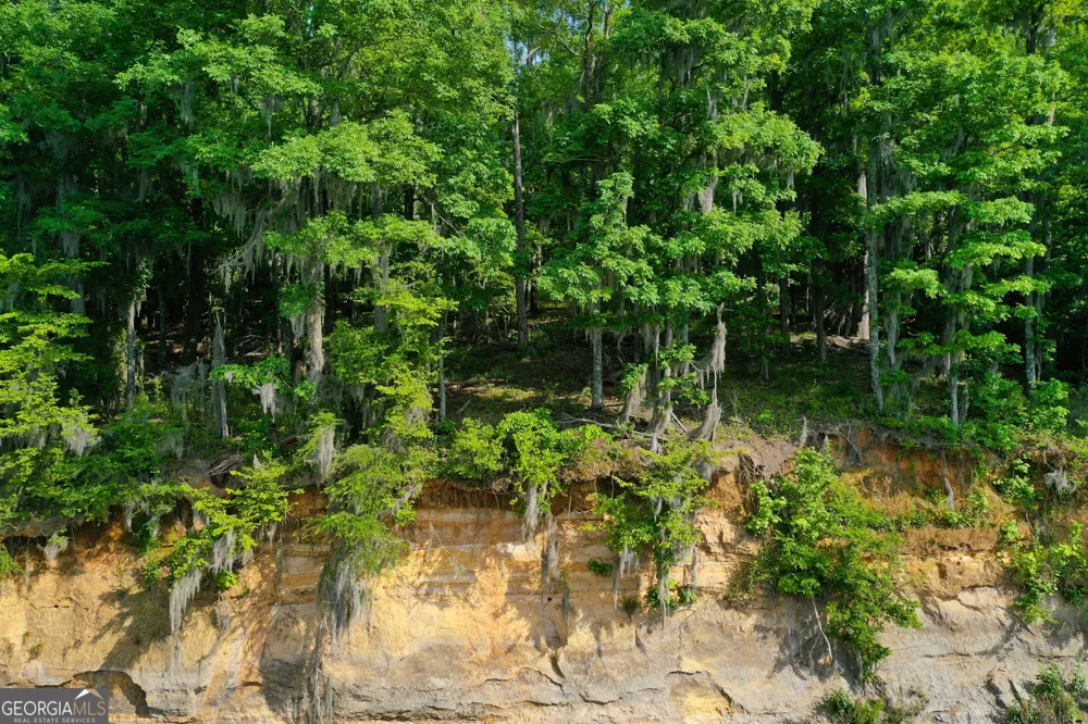 0 Watson Spur RD Georgetown, GA 39854