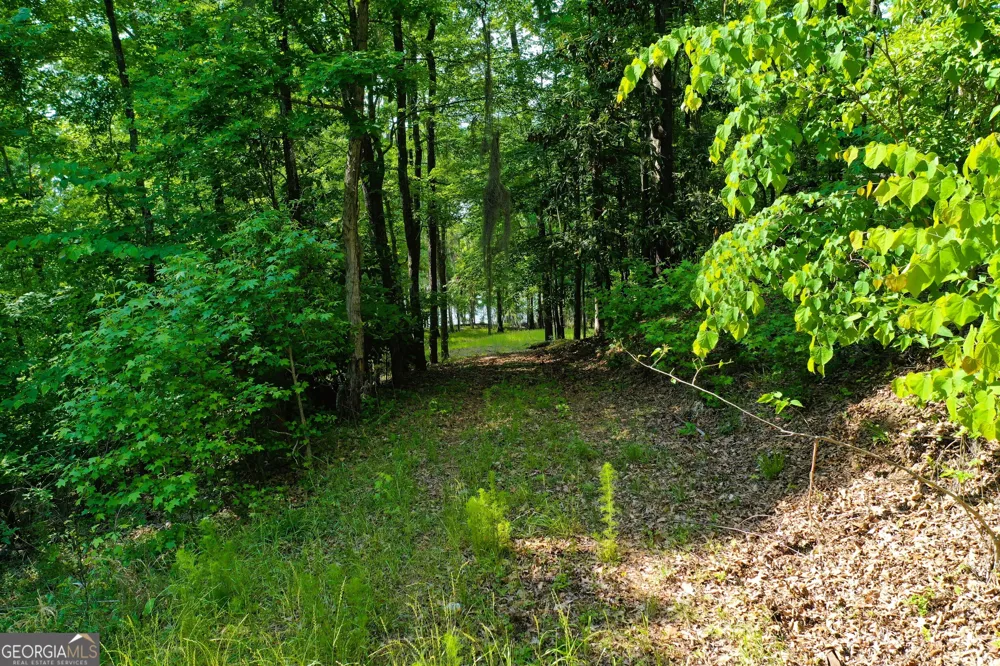 0 Watson Spur RD Georgetown, GA 39854
