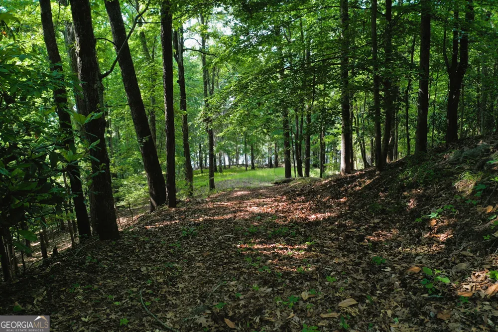 0 Watson Spur RD Georgetown, GA 39854