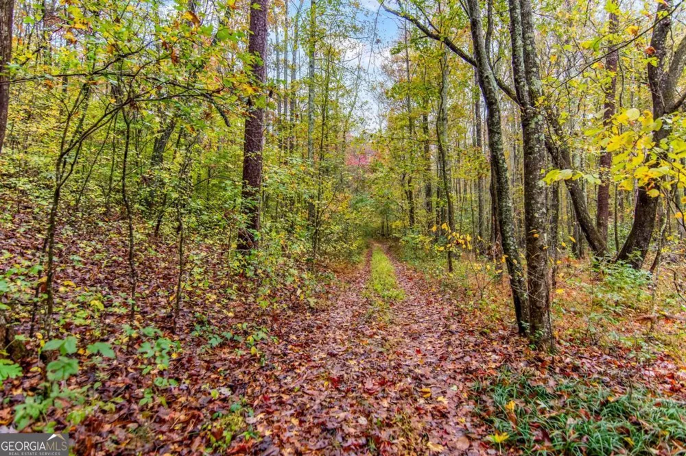 5618 Highway 52 Dawsonville, GA 30534