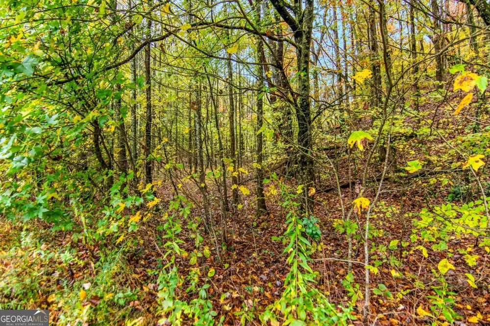 5618 Highway 52 Dawsonville, GA 30534